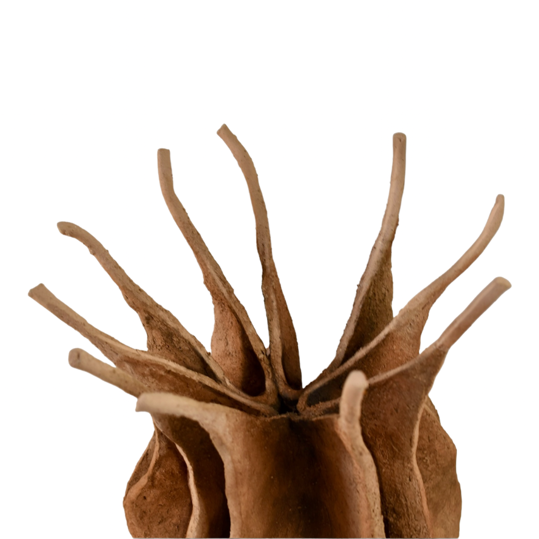 Nigella damascena – escultura original en Canarias – María Betancor
