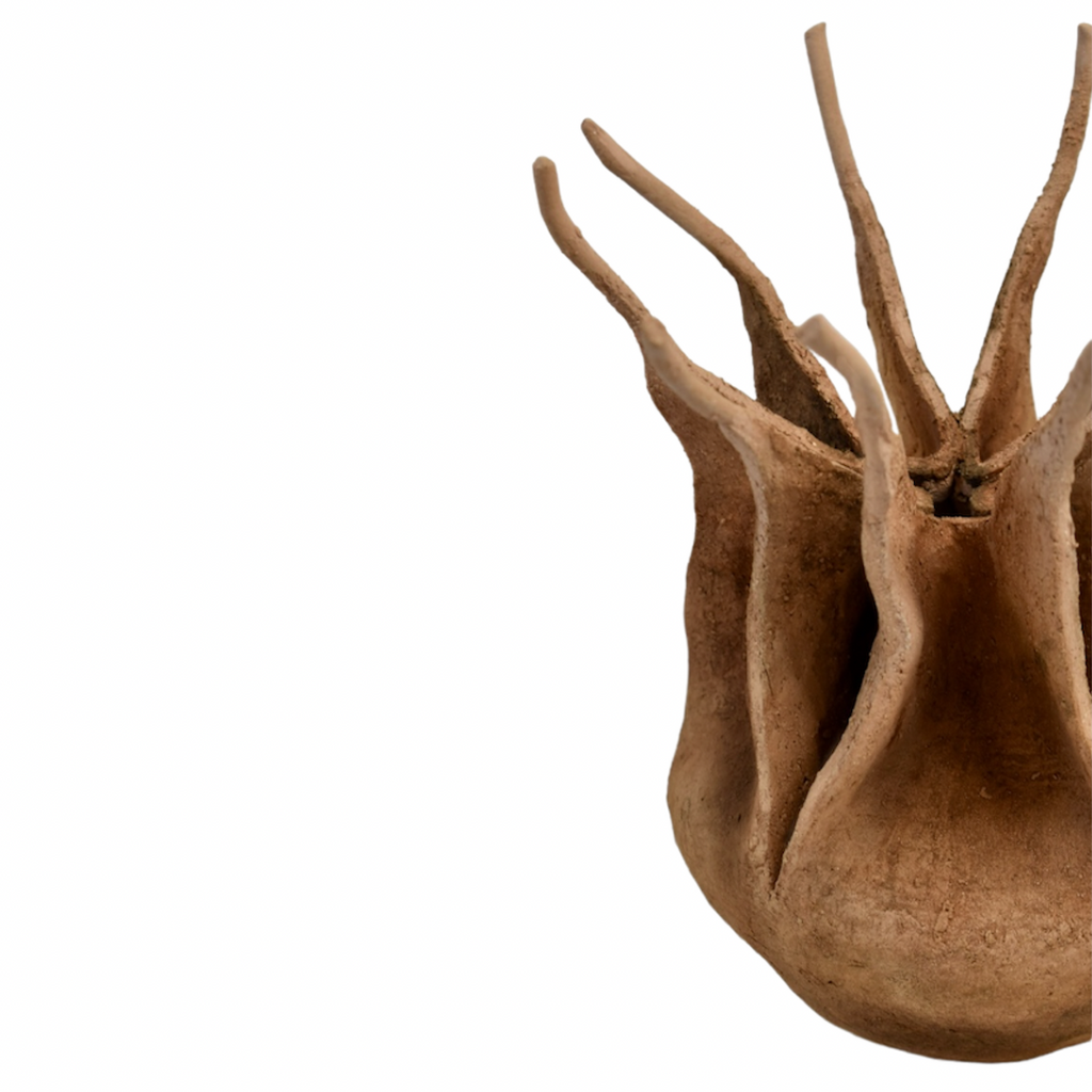 Nigella damascena – Escultura original