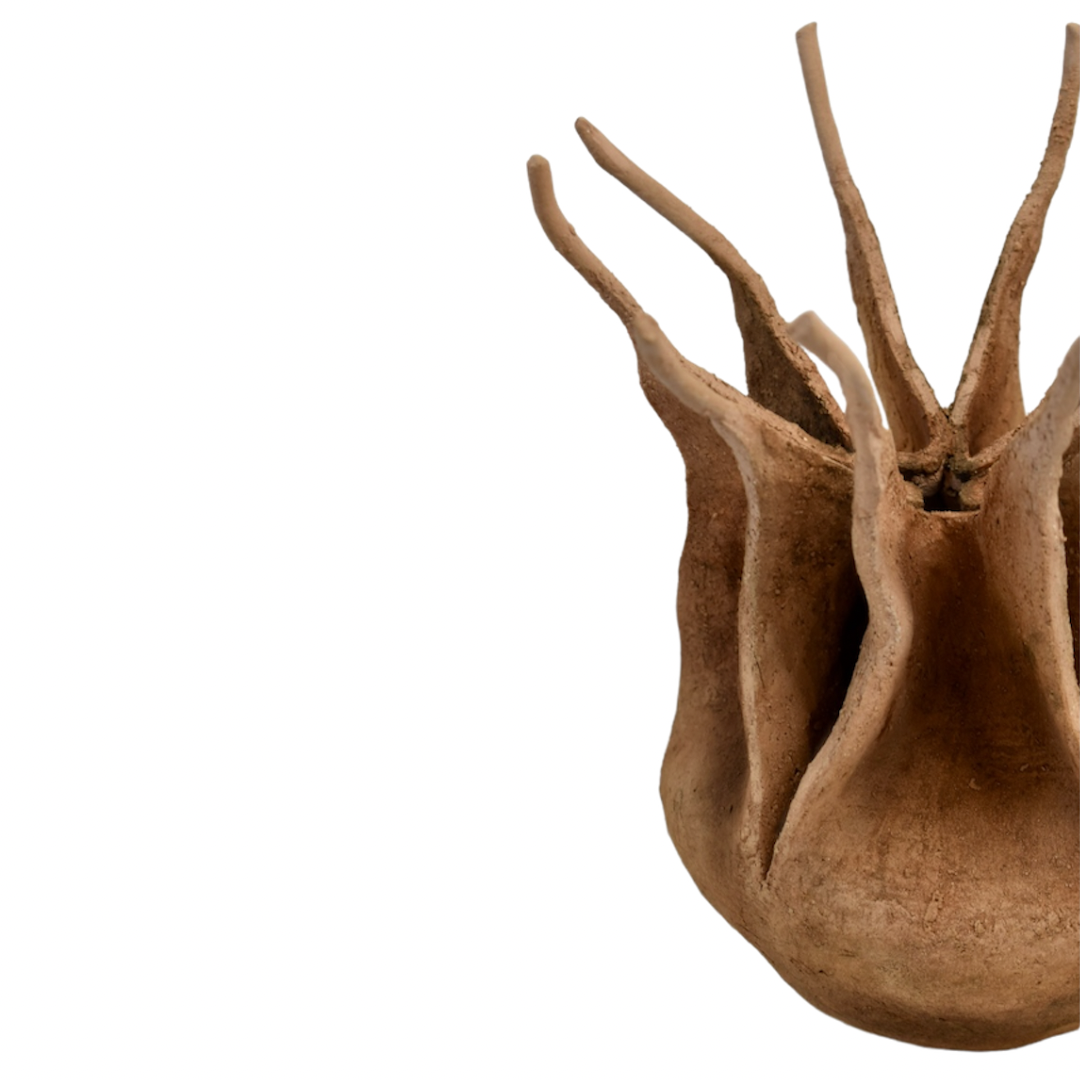 Nigella damascena – Escultura original