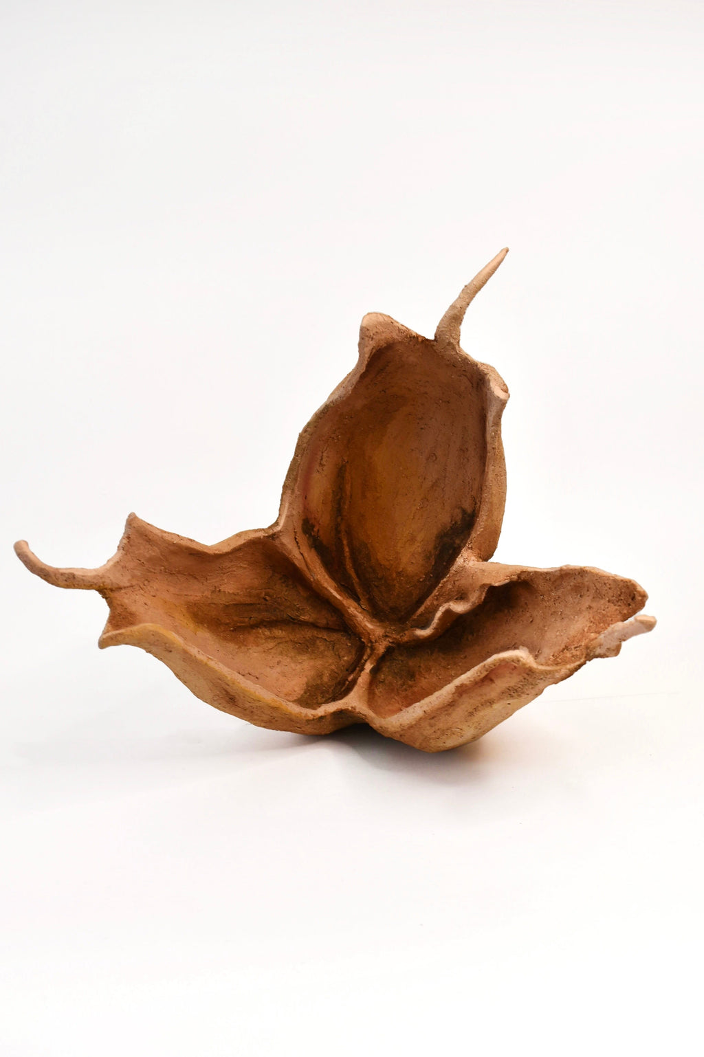 Colchicum psammophilum – escultura original en Canarias – María Betancor