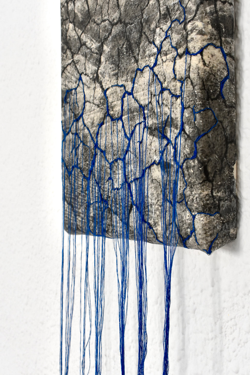 Tejidos de la Naturaleza