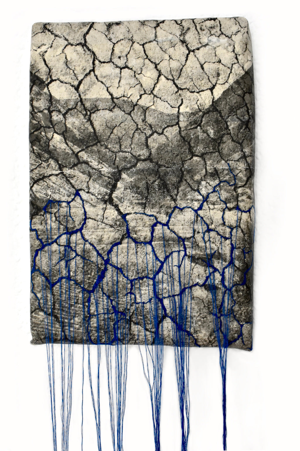 Tejidos de la Naturaleza