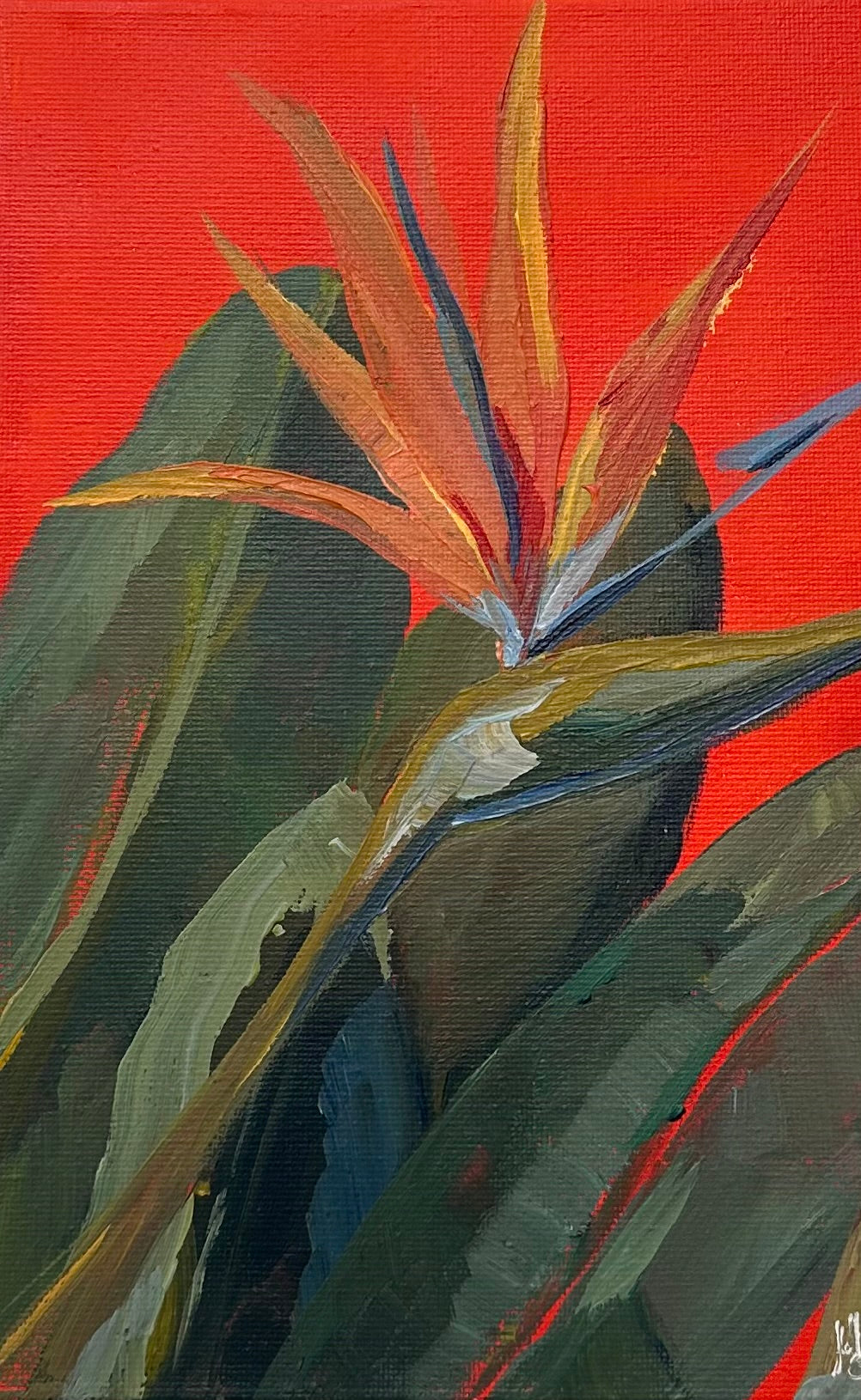 Strelitzia – cuadro original en Canarias – María Betancor

