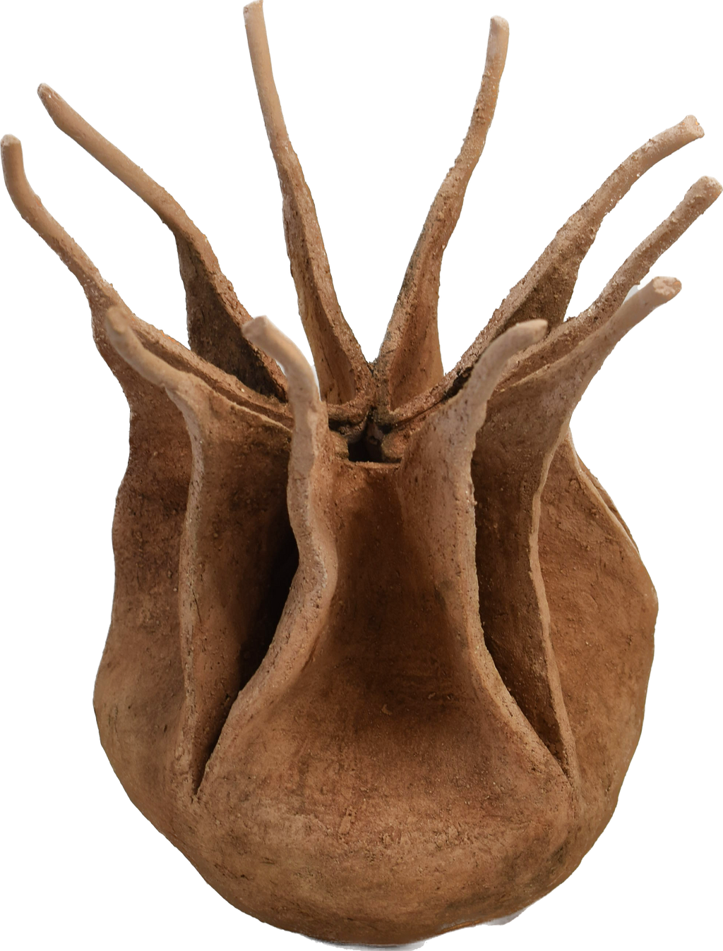 Nigella damascena – escultura original en Canarias – María Betancor
